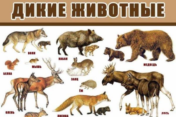 Кракен купить наркоту
